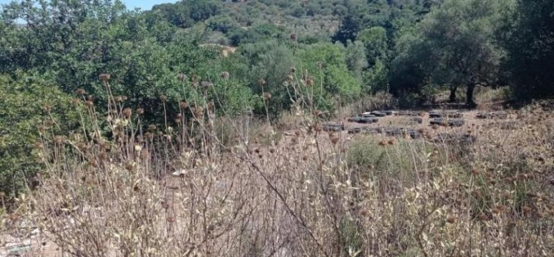 Episkopi bei Rethymno Kreta, Episkopi: Wunderschönes Grundstück mit Meerblick und Baugenehmigung zu verkaufen Grundstück kaufen